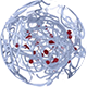 TARGETS SPECIFIC CELLS